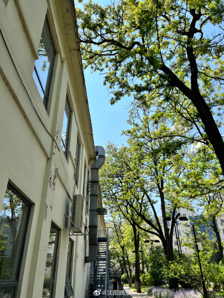 等雨来降温!沈阳市区主要降水时段为24日22时至25日7时 等雨来降温!沈阳市区主要降水时段为24日22时至25日7时