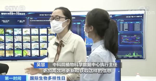 我国野生大熊猫，有多少只？最新数据来了→