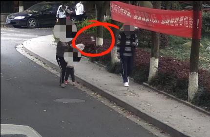 一块香蕉皮，要赔近2万元