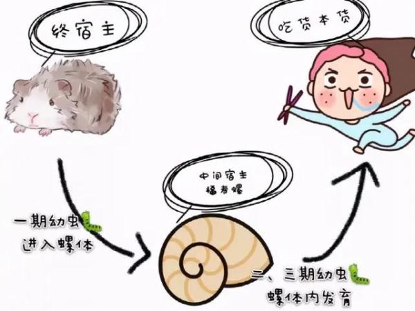 就是它！千万别吃！体内有3000余条寄生虫，严重可致死！