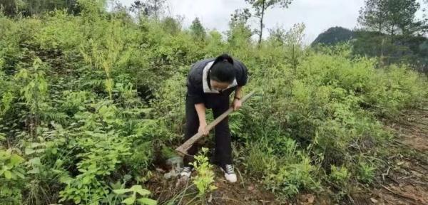 90后姑娘扎根大山传播农技知识