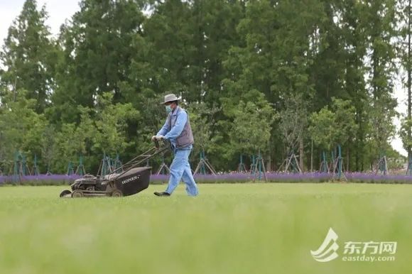 上海外滩边的BFC商场恢复线下营业！虹口最新公告：今起至31日开展4-5轮全员核酸筛查