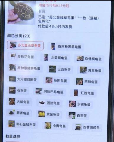 六一儿童节临近，这个生意火了！不过……