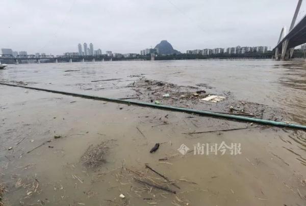 今年首次！超警洪水过境柳州，滨江西路被淹！水位还在上涨
