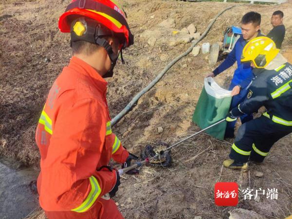 遇到蛇要怎么办?海南消防员总结“防蛇攻略”,请收好! 遇到蛇要怎么办?海南消防员总结“防蛇攻略”,请收好!