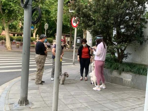 在上海送外卖的脱口秀演员,每天都去喂延庆路面馆18岁的老猫 在上海送外卖的脱口秀演员,每天都去喂延庆路面馆18岁的老猫