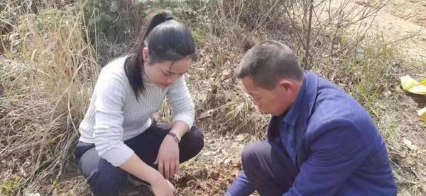90后姑娘扎根大山传播农技知识