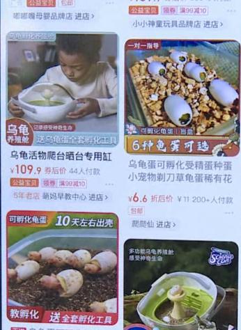 六一儿童节临近，这个生意火了！不过……