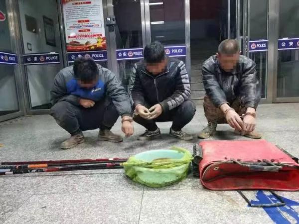钓鱼变偷鱼！“鱼”蠢呀！