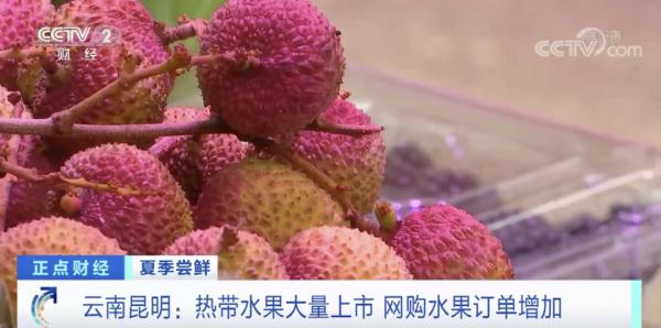 一公斤降了20元!浙江很多人爱吃的这种水果,大量上市! 一公斤降了20元!浙江很多人爱吃的这种水果,大量上市!