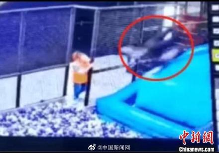 女子玩蹦床致一级伤残运动馆被判承担全责