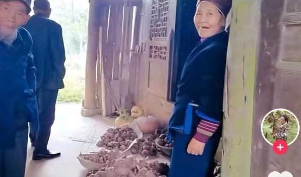 90后姑娘扎根大山传播农技知识