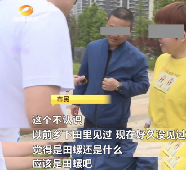 就是它！千万别吃！体内有3000余条寄生虫，严重可致死！