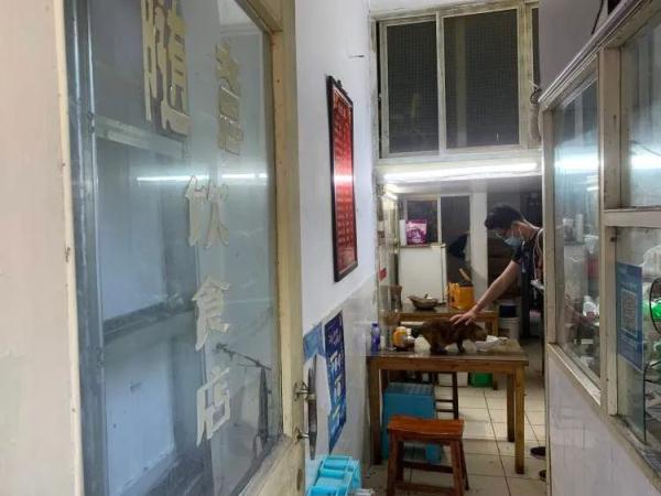 在上海送外卖的脱口秀演员,每天都去喂延庆路面馆18岁的老猫 在上海送外卖的脱口秀演员,每天都去喂延庆路面馆18岁的老猫