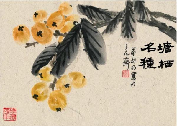 上海人吃的枇杷，背后都有一段故事