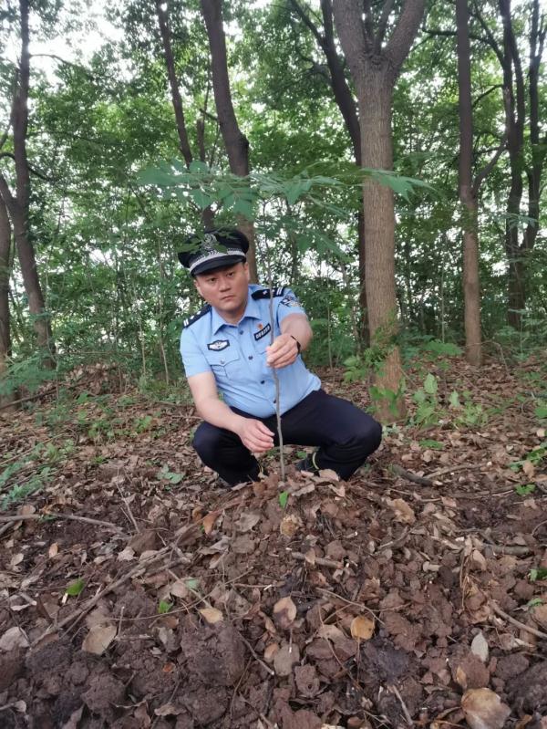 警犬波波，一路走好！