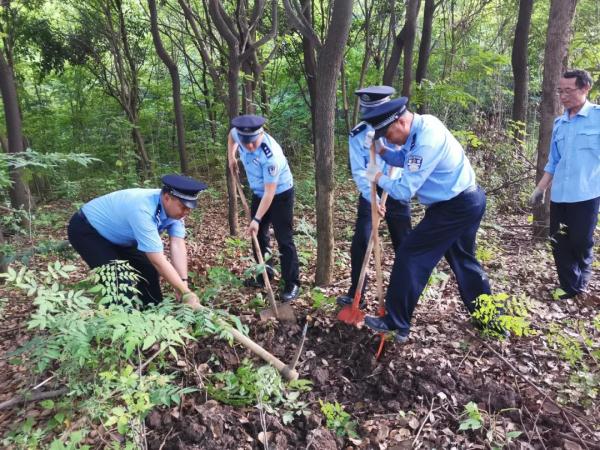 警犬波波，一路走好！