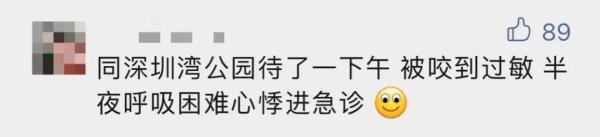 公园、河边常见！夏天当心这种虫，有人被咬后进急诊