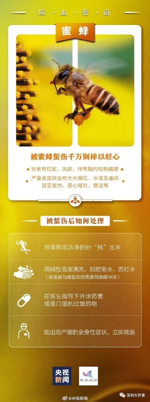 公园、河边常见！夏天当心这种虫，有人被咬后进急诊