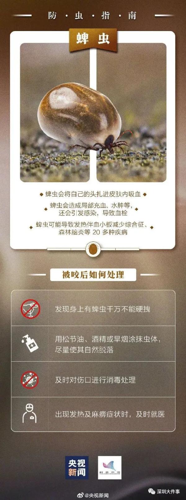 公园、河边常见！夏天当心这种虫，有人被咬后进急诊