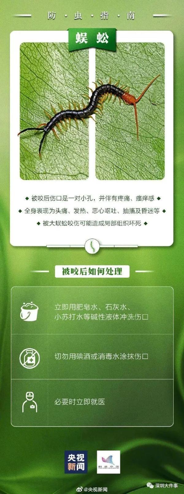 公园、河边常见！夏天当心这种虫，有人被咬后进急诊