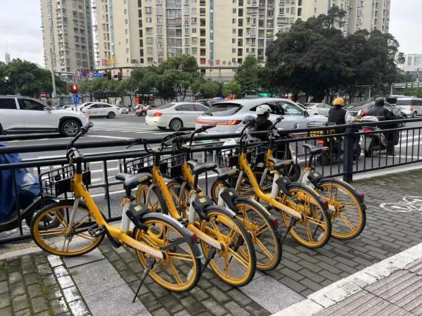 溫州市區共享單車停車難怎麼破