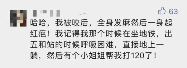 公园、河边常见！夏天当心这种虫，有人被咬后进急诊