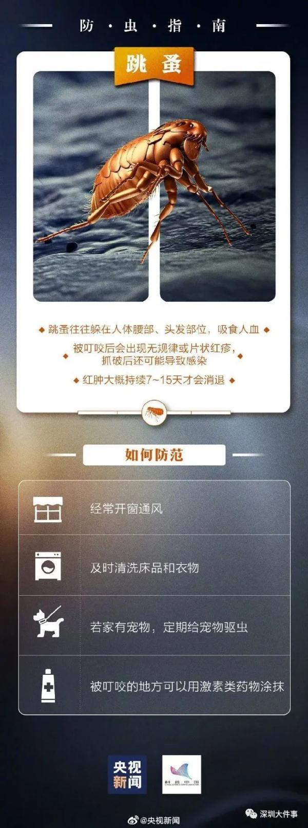 公园、河边常见！夏天当心这种虫，有人被咬后进急诊