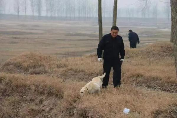 警犬波波，一路走好！