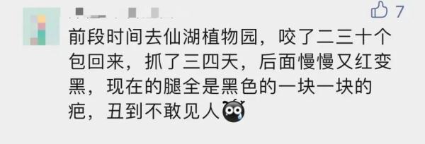 公园、河边常见！夏天当心这种虫，有人被咬后进急诊