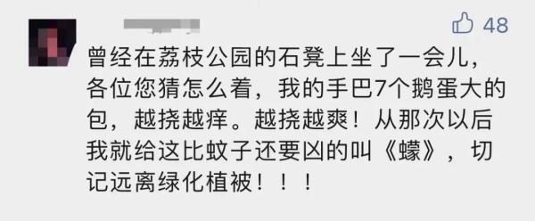 海南人注意!有人被咬后进急诊,这“小虫”公园、路边常见 海南人注意!有人被咬后进急诊,这“小虫”公园、路边常见