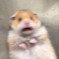 海南人注意!有人被咬后进急诊,这“小虫”公园、路边常见 海南人注意!有人被咬后进急诊,这“小虫”公园、路边常见