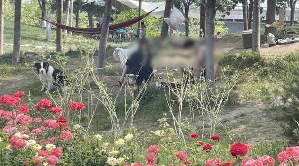 在北京河边绿地扎堆露营、烧烤…这样聚集有风险！
