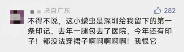 小心这种虫子！有人被咬后进急诊……