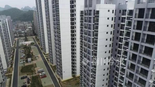 “有关系，可以直接安排公租房”？柳州有150多人被骗，“猫腻”就在→