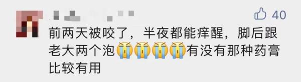 当心！měng虫预警！东莞这个季节很常见…