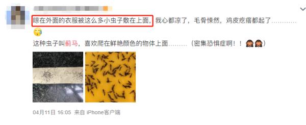 紧急提醒!最近少穿黄色、绿色衣服出门 紧急提醒!最近少穿黄色、绿色衣服出门