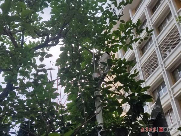 塑料瓶、卫生间杂物......南宁一业主从22楼丢下垃圾袋,监控拍下这一幕 塑料瓶、卫生间杂物......南宁一业主从22楼丢下垃圾袋,监控拍下这一幕