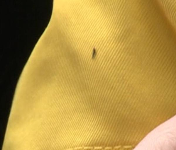 紧急提醒!最近少穿黄色、绿色衣服出门 紧急提醒!最近少穿黄色、绿色衣服出门