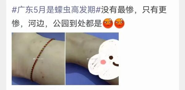 小心这种虫子！有人被咬后进急诊……