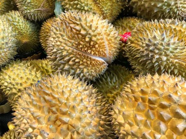 火了！温州掀起“榴莲盲盒”热