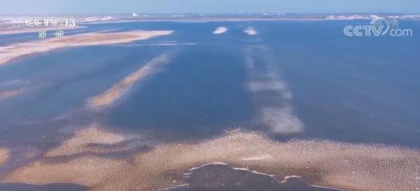“一湾一策”推进“美丽海湾”建设 七里海潟湖湿地将达7.6平方公里