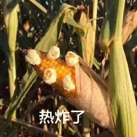 车内点烟突然爆炸！目击者：头发烧光了……