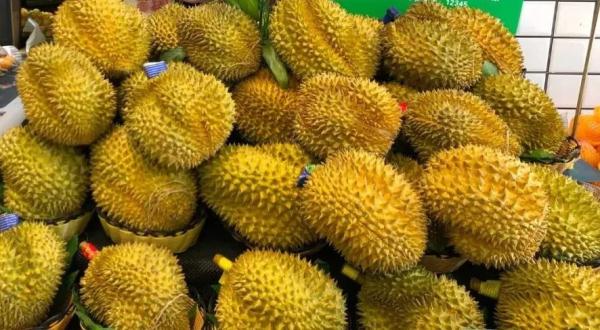 火了！温州掀起“榴莲盲盒”热