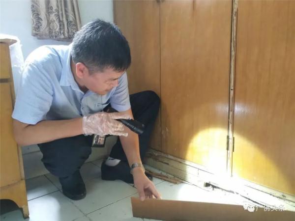 数十万只白蚁“围攻”三层老屋!九旬老伯晚上不敢开灯吃饭…… 数十万只白蚁“围攻”三层老屋!九旬老伯晚上不敢开灯吃饭……