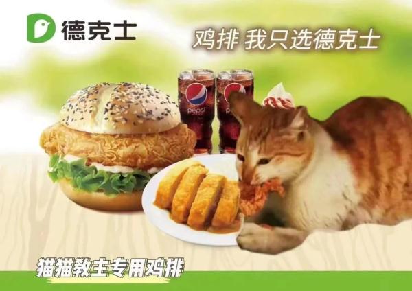 上海因疫情走红的“鸡排猫”疑遭虐杀？警方介入