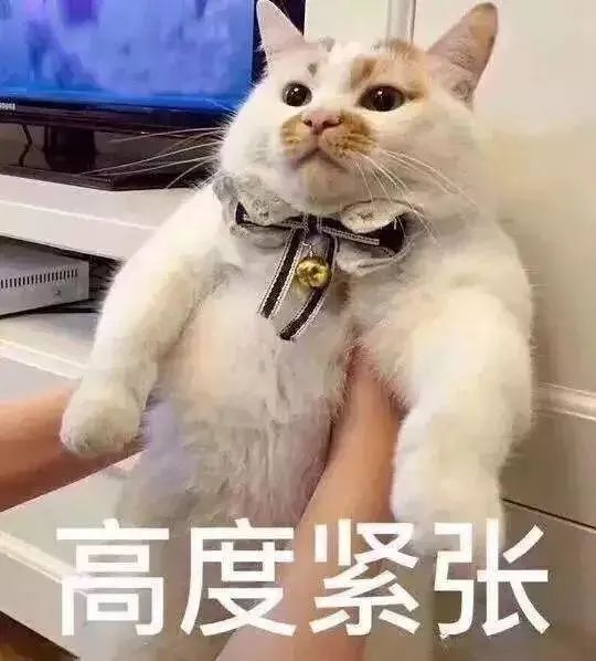 @广东人，近期需慎食青口等贝类