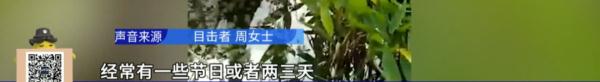 游客组团到公园放生小龙虾，“放生”还是“杀生”？！