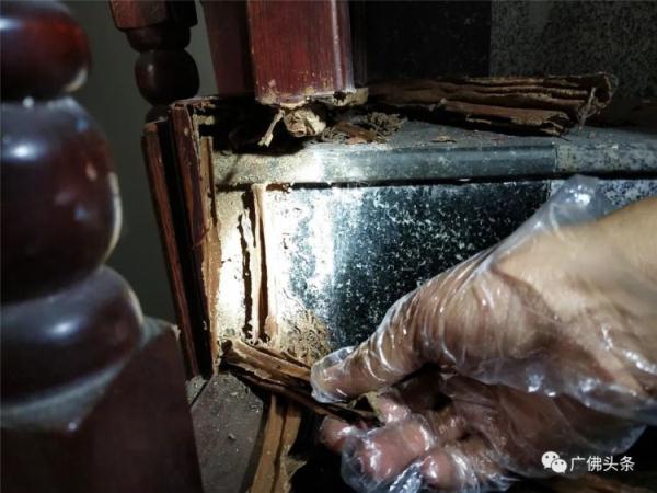 数十万只白蚁“围攻”三层老屋!九旬老伯晚上不敢开灯吃饭…… 数十万只白蚁“围攻”三层老屋!九旬老伯晚上不敢开灯吃饭……