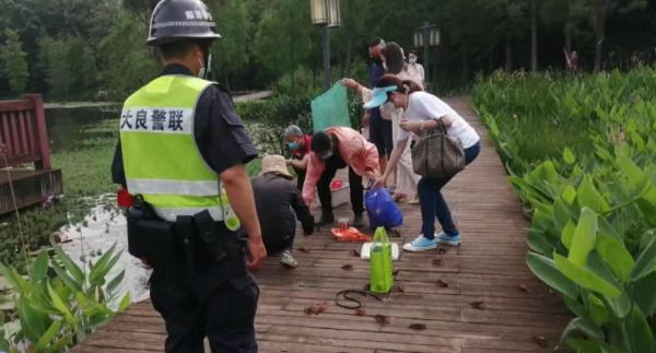游客组团到公园放生小龙虾，“放生”还是“杀生”？！